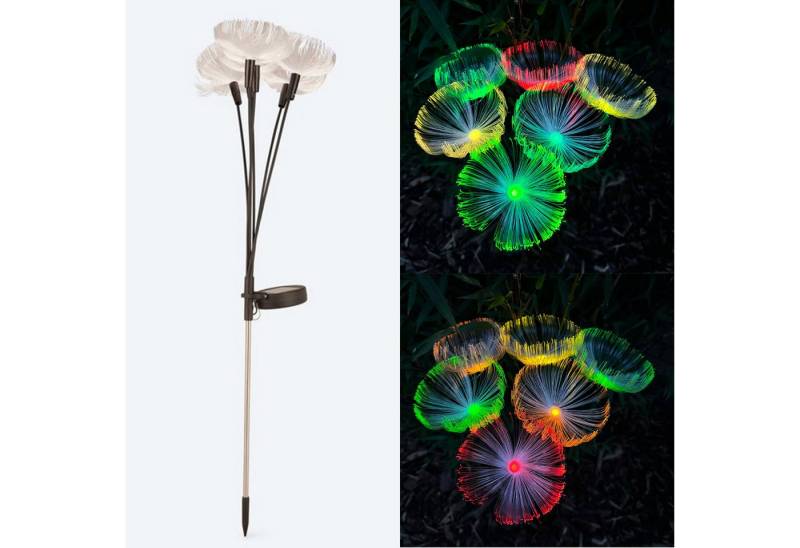 Online-Fuchs Gartenstecker PUSTEBLUME mit LED Solar Beleuchtung - Solarleuchten (Warmweiß oder Farbwechsel, 77 cm groß) Gartendeko für Frühling, Sommer und Herbst von Online-Fuchs