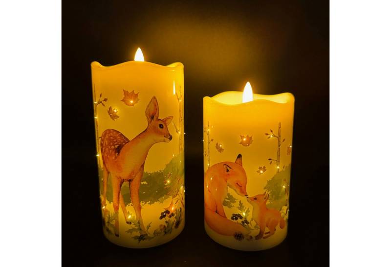 Online-Fuchs LED-Kerze 2 LED-Motivkerzen mit Funkellichtern (Filament Stil) mit Timer (realistische Kerzenflamme, 6-Stunden Timerfunktion), Warmweiß oder Farbwechsel wählbar von Online-Fuchs