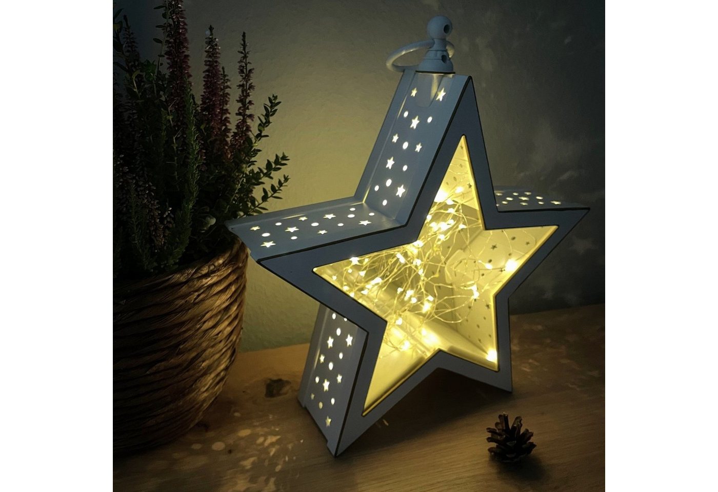Online-Fuchs LED Laterne Stern Laternen mit 50 LED beleuchtet Setgröße und -farbe wählbar, LED fest integriert, warmweiß, Funkeleffekt, auch zum hängen, zwei Beleuchtungsarten, 35 cm hoch von Online-Fuchs