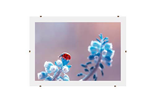 Online-GalleryKing Rahmenloser Bilderrahmen Cliprahmen 40 x 66 cm mit Antireflex Acrylglas und MDF-Holz Rückwand | Foto | Poster | Collage | Rahmen | Alle Größen Online-GalleryKing Rahmenloser Bilderrahmen Cliprahmen 40 x 66 cm mit Antireflex Acrylglas und MDF-Holz Rückwand | Foto | Poster | Collage | Rahmen | Alle Größen von Online-GalleryKing