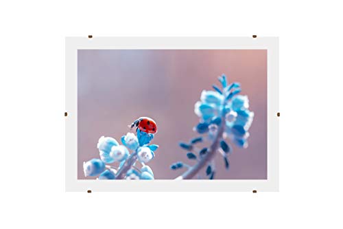 Online-GalleryKing Rahmenloser Bilderrahmen Cliprahmen 80 x 55 cm mit Antireflex Acrylglas und MDF-Holz Rückwand | Foto | Poster | Collage | Rahmen | Alle Größen von Online-GalleryKing