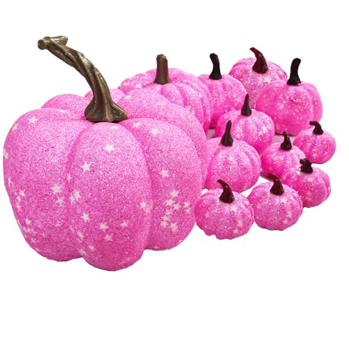 Onlvmyur 13 Stück Künstliches Kürbissse Set Mini Herbstdeko Kürbis Rosa Halloween Deko Kürbis für Halloween Erntedankfest Drinnen und Draußen Dekoration von Onlvmyur