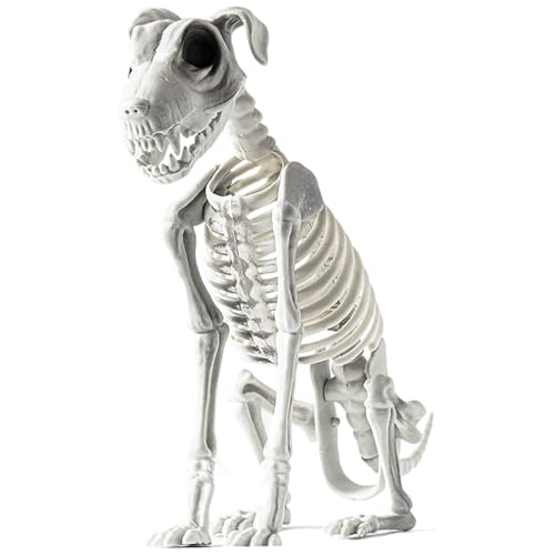 Halloween Skelett Hunde, Halloween Skelett Hund Sitzend, 30 X 22 cm Sitzendes Hunde SkelettDeko Mit Realistischen Zähnen, Schreckliche Und Merkwürdige Deko Für Draußen, Spukhaus, Garten Und Party Halloween Skelett Hunde, Halloween Skelett Hund Sitzend, 30 X 22 cm Sitzendes Hunde SkelettDeko Mit Realistischen Zähnen, Schreckliche Und Merkwürdige Deko Für Draußen, Spukhaus, Garten Und Party von Onlynery
