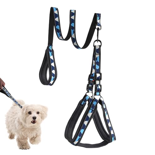 Onlynery Welpen Geschirr Und Leine Set - Reflektierende Spaziergangsleine Für Welpen - Verstellbar Bequem rutschfest Geschirr für Spaziergänge Outdoor Mittelgroße Hunde von Onlynery