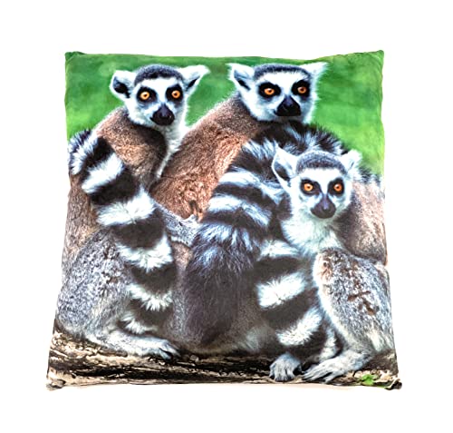 Onwomania AFFE Lemur Plüsch Kissen für Sofa oder Bett als Deko, Dekoration oder Kuschelkissen 35x35 cm von Onwomania