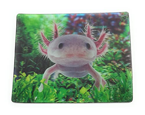 Onwomania Axolotl mexikanischer Schwanzlurch 9x7cm 3D Magnet Karte Kühlschrankmagnet Magnetbild Heftmagnet Mehrfarbig von Onwomania