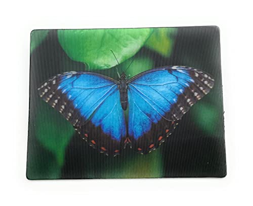 Onwomania Blauer Morphofalter Schmetterling Insekt 9x7cm 3D Magnet Karte Kühlschrankmagnet Magnetbild Heftmagnet Blau von Onwomania