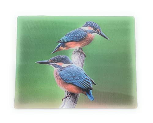 Onwomania Eisvogel Alcedo Vogel Tier 9x7cm 3D Magnet Karte Kühlschrankmagnet Magnetbild Heftmagnet Mehrfarbig von Onwomania