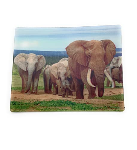 Onwomania Elefanten Familie Dickhäuter 9x7cm 3D Magnet Karte Kühlschrankmagnet Magnetbild Heftmagnet Grau von Onwomania