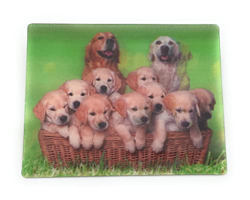 Onwomania Golden Retriever Hunde Famile 9x7cm 3D Magnet Karte Kühlschrankmagnet Magnetbild Heftmagnet Mehrfarbig von Onwomania