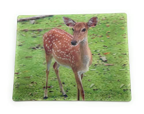 Onwomania Junges REH Rehkitz Bambi 9x7cm 3D Magnet Karte Kühlschrankmagnet Magnetbild Heftmagnet braun von Onwomania
