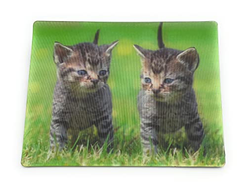 Onwomania Kitten Kätzchen Baby Katze 9x7cm 3D Magnet Karte Kühlschrankmagnet Magnetbild Heftmagnet Mehrfarbig von Onwomania