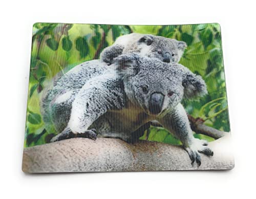 Onwomania Koala Bären Koalabär 9x7cm 3D Magnet Karte Kühlschrankmagnet Magnetbild Heftmagnet Grau von Onwomania