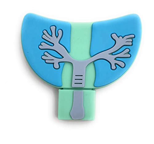 Onwomania Lunge Atmung Organ Körper blau USB Stick USB Flash Drive 16GB USB 3.0 von Onwomania