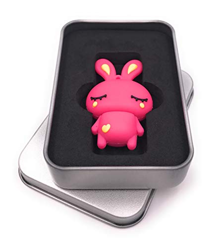 Onwomania Pinker Hase niedlich Ostern USB Stick in Alu Geschenkbox 64 GB USB 2.0 von Onwomania