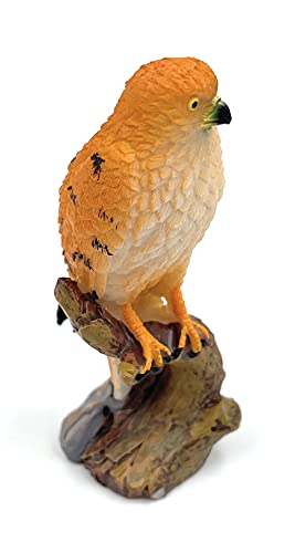 Onwomania Polyresin Figur Falke Falco Turmfalke Tier Dekofigur aus Polyresin Braun 7,8 cm von Onwomania