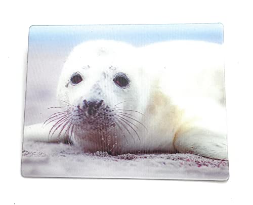 Onwomania Robbe Baby Seehund 9x7cm 3D Magnet Karte Kühlschrankmagnet Magnetbild Heftmagnet Weiß von Onwomania