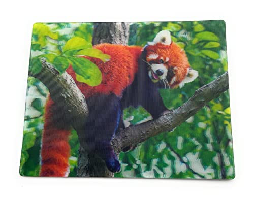 Onwomania Roter Panda Katzenbär 9x7cm 3D Magnet Karte Kühlschrankmagnet Magnetbild Heftmagnet Braun von Onwomania