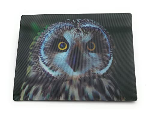 Onwomania Sumpfohreule Eule Vogel 9x7cm 3D Magnet Karte Kühlschrankmagnet Magnetbild Heftmagnet Mehrfarbig von Onwomania
