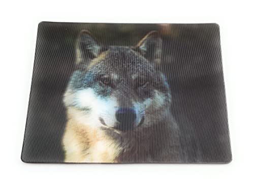 Onwomania Wolfkopf Wolf Wildhund 9x7cm 3D Magnet Karte Kühlschrankmagnet Magnetbild Heftmagnet Mehrfarbig von Onwomania