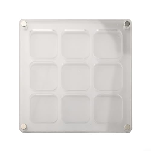 Aufbewahrungsbox aus Acryl mit mehreren Rastern zum kreativen Präsentieren von Mini-Muscheln und Seestern (B) von Opatiny