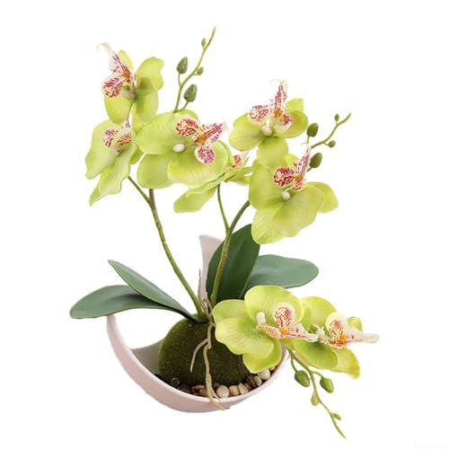 Dekorative künstliche Orchidee im Topf simulierte Phalaenopsis-Blume für Zuhause und Event Styling (grün) von Opatiny