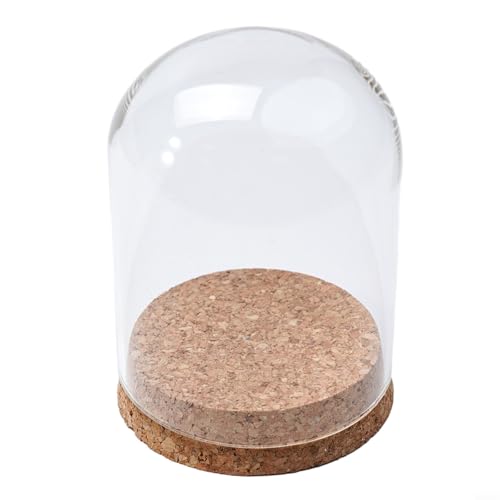 Glaskuppelabdeckung mit Holzkork für Sukkulenten und Blumenvase, Tischdekoration für Zuhause und Büro, DIY-Display (8 x 10 cm) von Opatiny