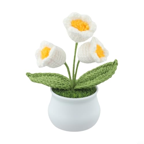 Handgefertigter Blumentopf aus Wolle, perfekter Akzent für Ihren Wohnraum (weiß) von Opatiny