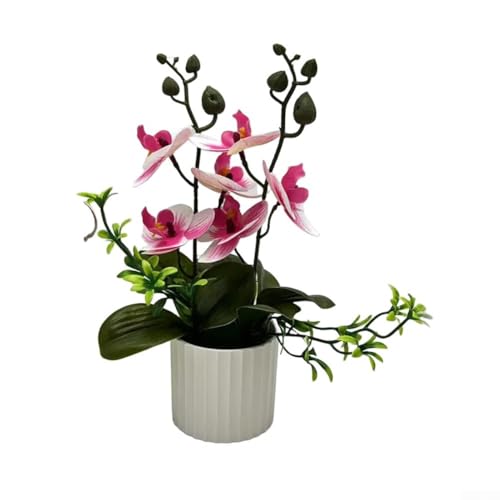 Künstliche Bonsai-Orchidee für den Innenbereich, lebensechte Phalaenopsis-Pflanze für Zuhause und Büro Dekoration (Rosa und Weiß) von Opatiny