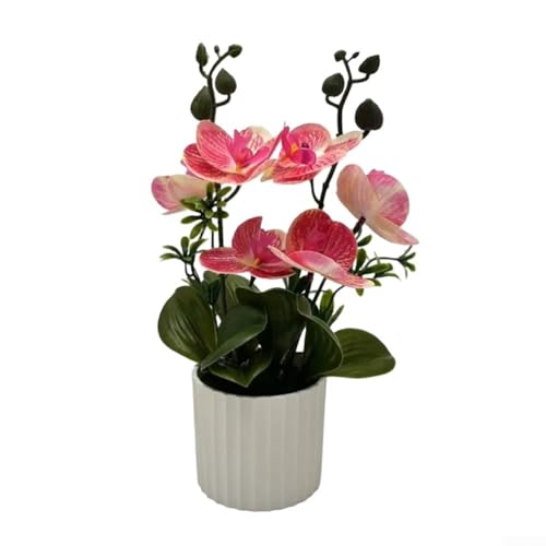 Künstliche Bonsai-Orchidee für den Innenbereich, lebensechte Phalaenopsis-Pflanze für die Dekoration von Haus und Büro (Rosenrot) von Opatiny