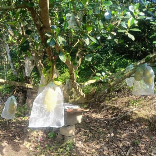Obstschutzbeutel aus Nylon mit Kordelzug, bietet Belüftung und Lichtdurchdringung, während Pflanzen und Blumen vor Schädlingsschäden geschützt werden (15 x 10 cm) von Opatiny