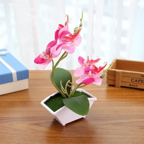 Realistische künstliche Bonsai-Schmetterlings-Orchidee mit Topf für elegante Tischdekoration zu Hause, perfekt für Büros und Cafés (Rosa) von Opatiny