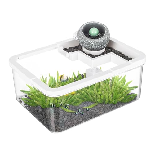 Opdestn Kleines Aquarium Mit Filter Und Beleuchtung,Mini Desktop Aquarium - Antikes Hydrokultur-System mit USB-Pumpe & Beleuchtung für Kampffische und Dekoration auf Schreibtischen von Opdestn