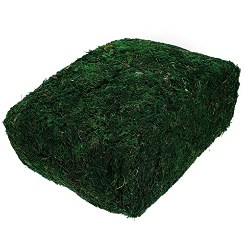 Operitacx Lebendige Simulation Moos - 1 Packung Für Landschaft Bonsai Und Terrarien von Operitacx