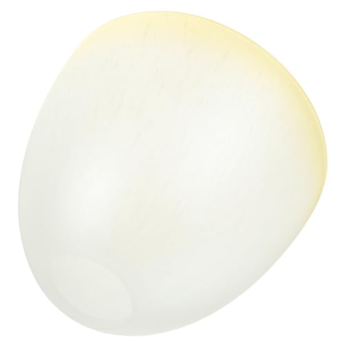 Operitacx 2 Stück Glas Lampenschirm Pendelleuchte Deckenleuchte Wandlampe Modern Transparenter Glasschirm für Akzentbeleuchtung Wohnzimmer Schlafzimmer von Operitacx