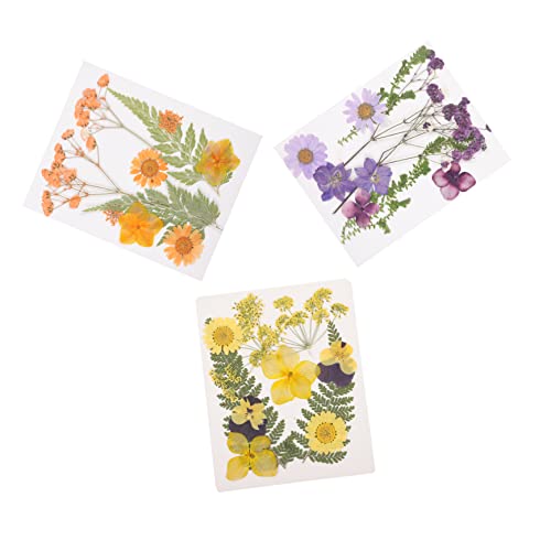 Operitacx 3 Sätze DIY Trockenblumen Gepresste Blumen für Kerzen und Bastelprojekte für Handyhüllen Schmuckdesign und Dekoration Langlebig und Farbintensiv von Operitacx