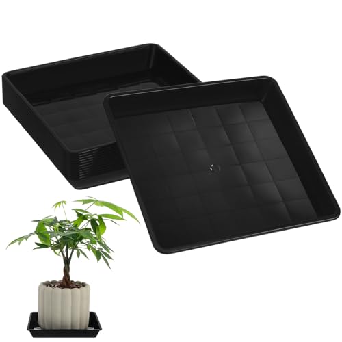 Operitacx Blumentopf Untersetzer Eckig Sukkulenten Topf Untersetzer Quadratisch Schwarz Kunststoff Teller 12 Stück 18cm Desktop Boden Pflanztopf Zimmerpflanzen Pflanzen Blumen Untertassen von Operitacx