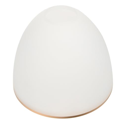 Operitacx Glas Lampenschirm Ersatz Deckenleuchte Transparent Pendelleuchte Lampenschirm Ersatzglas für Wohnzimmer Schlafzimmer mit Glattem Langlebigem Glasmaterial und Einzigartigem Design von Operitacx