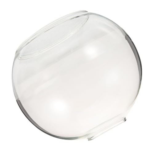 Operitacx Glaskugel Lampenschirm Ersatz Transparent Durchmesser Hochwertiger Glas Lampenschirm Dekorativ für Pendelleuchte Deckenleuchte Wandleuchte Langlebig und Sicher von Operitacx