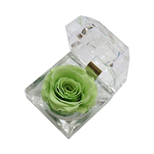 Operitacx Konservierte Konservierte Rose In Einer Zierlichen Glasbox Ewigkeitsrose Nie Verwelkte Rose Zum Valentinstag Geburtstag Jubiläum (Hellgrün) von Operitacx