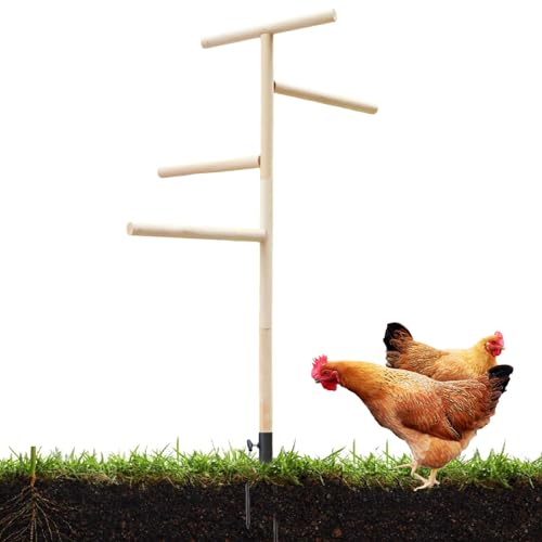 Barsch für Küken - Barsch für Papageien, Barsch für Truthähne | Barfisch für Hühner Spielplatz für Hühner, Zandfisch für Taubenbarsche, Barsch für Vögel mit Griff von von Opilroyn