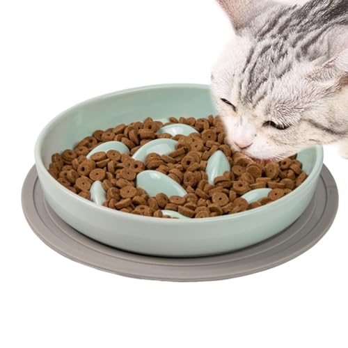 Langsamer Futternapf - Haustiernapf, langsam ernährende Katzenschale, Katzenfutterschale, Katzenfutterschale, Katzennapf, Futternapf für Katzen, Futternapf für Katzen von Opilroyn
