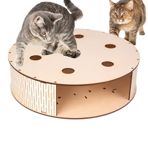 Opilroyn Katzenjagdspielzeug - Holz Jagdbox Mit Beute Spiel Für Kätzchen - Haustierbedarf, Katzenspielzeug Für Bewegung Und Intelligenz Zuhause Balkon Garten von Opilroyn