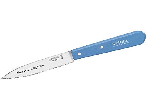 Opinel-Küchenmesser No. 113, feine Sägezahnung (hellblau, mit Namensgravur, One Size) von Opinel