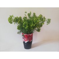 Kleine Vase Vintage-stil Vallauris Rot Und Schwarz von OpossumFactory
