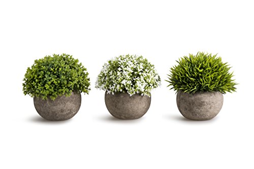 Opps Mini Künstliche Pflanzen Kunststoff Fake Grün Gras Blume Topiary Sträucher mit Gray Pot für Home Dekor NEW05 – Set von 3 Gemischt von Opps