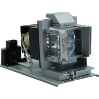 OPTOMA 5811118543-SOT BL-FP240D Beamerlampe Originalmodul von Optoma