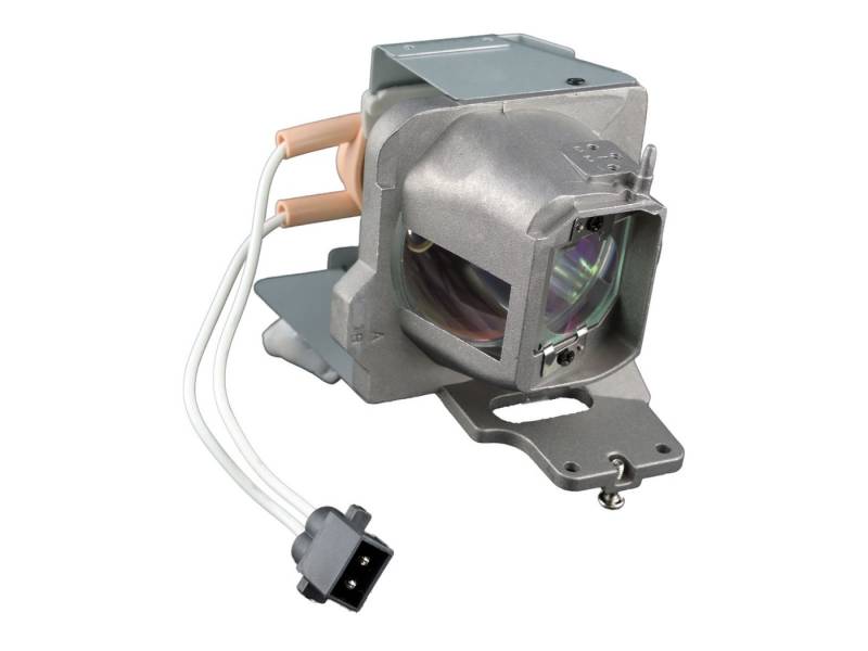 Optoma Beamerlampe SP.78V01GC01 BL-FP240E, Original Ersatzlampe mit Gehäuse von Optoma