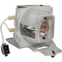 Optoma Projektorlampe SP.7D101GC01 für S342e, W334e, X342e, X343e von Optoma