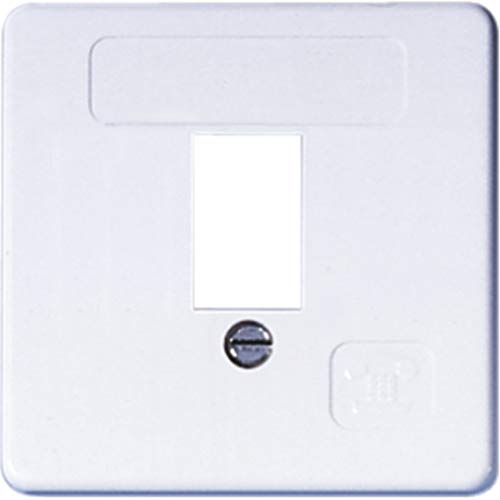 Abdeckung für TAE-Anschlussdose – Schutzabdeckung für Telekommunikationsanschluss, Norm-Zentralplatte 50 x 50 mm mit Zwischenrahmen, Weiß, Mit Befestigungsschrauben von Opus